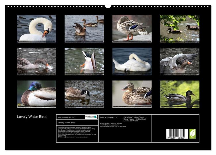 Produktbild: Lovely Water Birds (High Quality Premium Wall Calendar 2027 DIN A2 landscape),CALVENDO 12 Month Wall Calendar