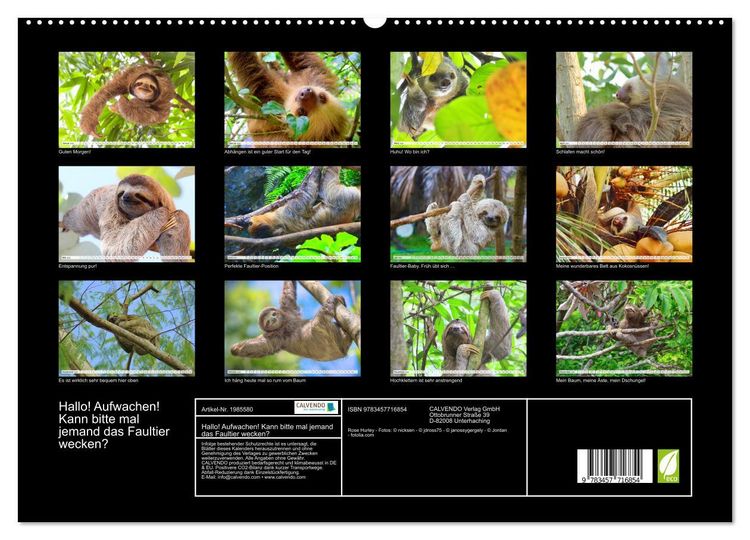 Produktbild: Hallo! Aufwachen! Kann bitte mal jemand das Faultier wecken? (hochwertiger Premium Wandkalender 2026 DIN A2 quer), Kunstdruck in Hochglanz