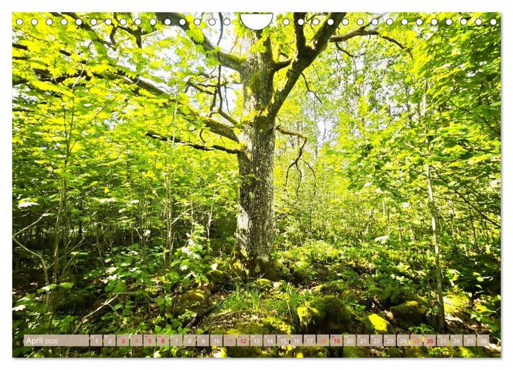 Produktbild: Schweden im Sommer (Wandkalender 2026 DIN A4 quer), CALVENDO Monatskalender