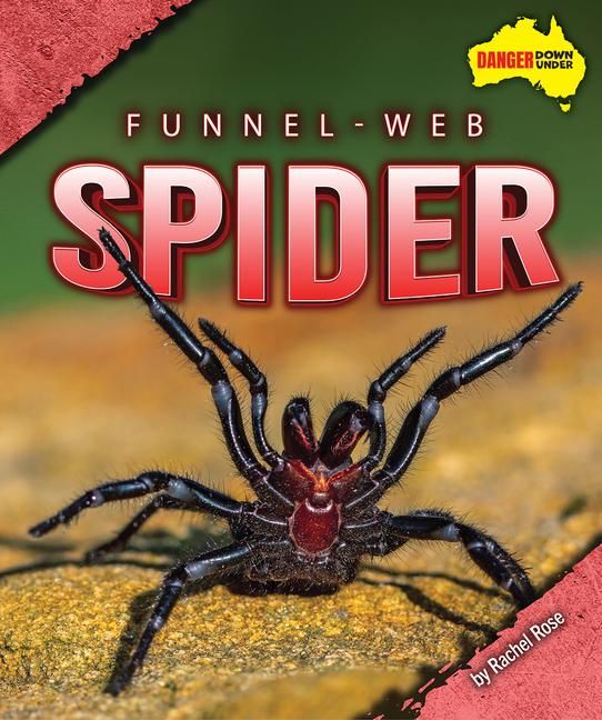 Produktbild: Funnel-Web Spider