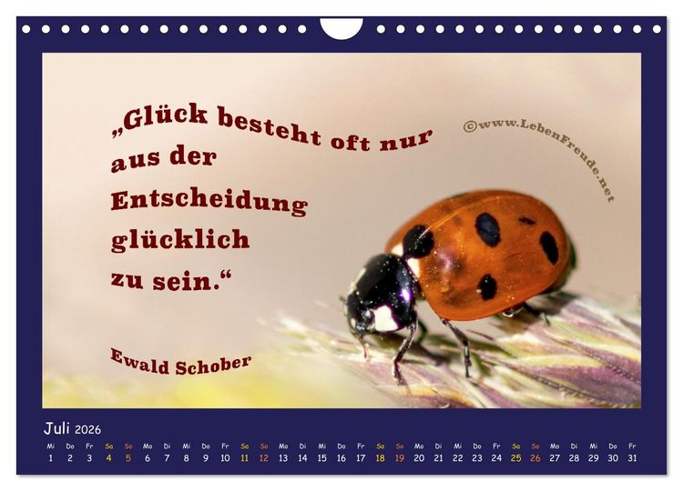 Produktbild: Bewusst leben und gl&uuml;cklich sein (Wandkalender 2026 DIN A4 quer), CALVENDO Monatskalender