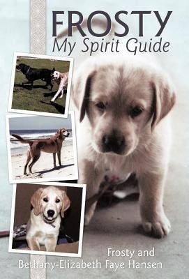 Produktbild: Frosty My Spirit Guide