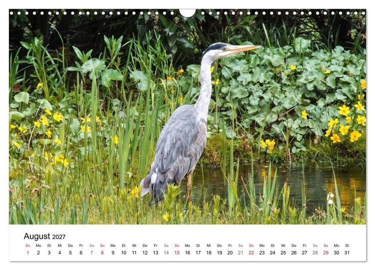 Produktbild: Paradies Naturgarten (Wandkalender 2027 DIN A3 quer), CALVENDO Monatskalender