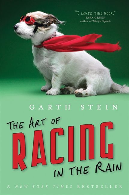 Produktbild: Art Of Racing In The Rain