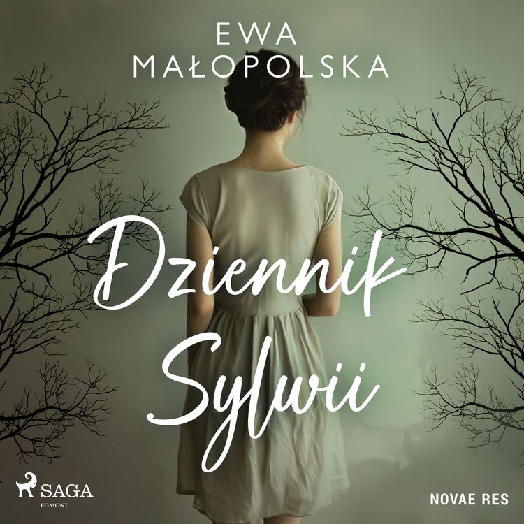 Produktbild: Dziennik Sylwii