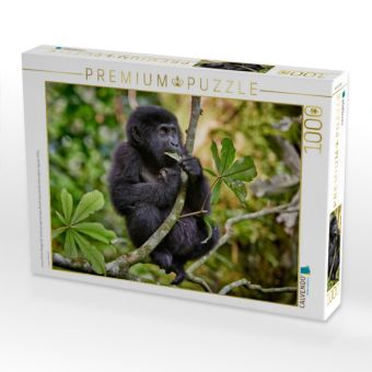 Produktbild: CALVENDO Puzzle s&uuml;sser kleiner Berggorilla, Gorilla beringei beringei, Bwindi Impenetrable Nationalpark, Uganda, Afrika | 1000 Teile Lege-Gr&ouml;&szlig;e 64x48cm Foto-Puzzle f&uuml;r gl&uuml;ckliche Stunden