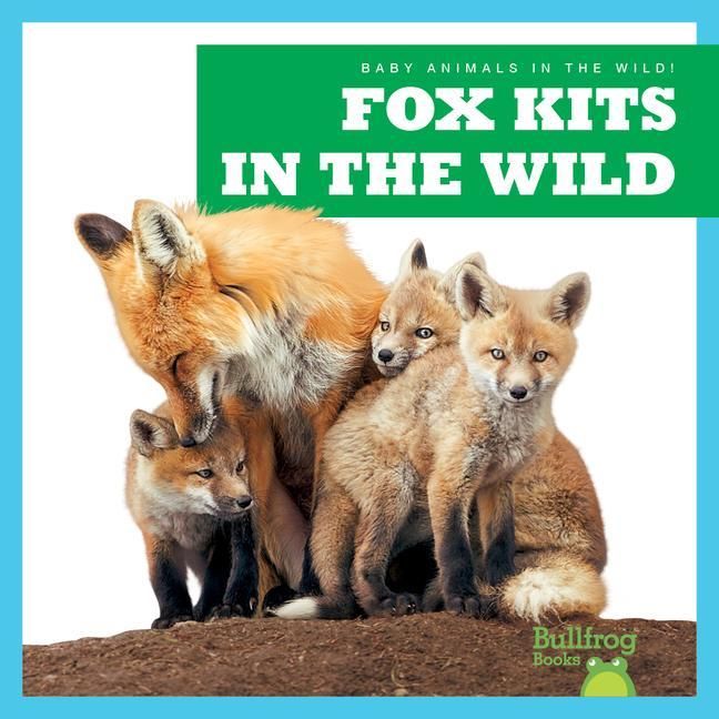 Produktbild: Fox Kits in the Wild