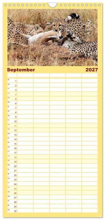 Produktbild: Familienplaner 2027 - Geparden - Begegnungen in Afrika mit 5 Spalten (Wandkalender, 21 x 45 cm) CALVENDO