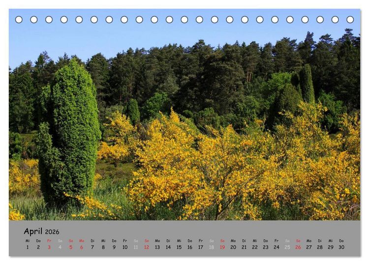 Produktbild: L&uuml;neburger Heide - sch&ouml;n zu jeder Jahreszeit (Tischkalender 2026 DIN A5 quer), CALVENDO Monatskalender