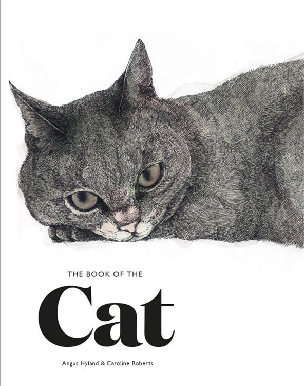 Produktbild: The Book of the Cat