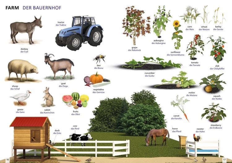 Produktbild: Bildwörterbuch für Kinder und Eltern Englisch-Deutsch