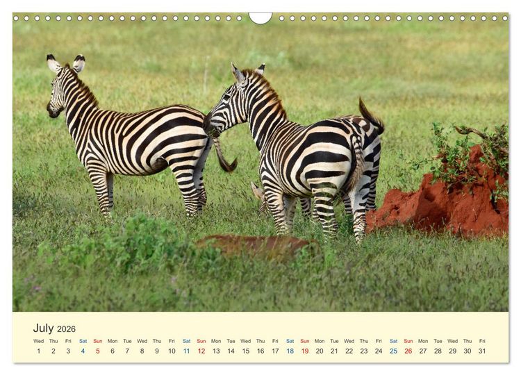 Produktbild: Wonderful Kenya (Wall Calendar 2026 DIN A3 landscape), CALVENDO 12 Month Wall Calendar