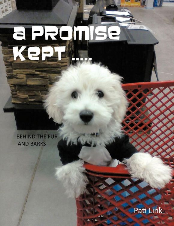 Produktbild: A Promise Kept .....