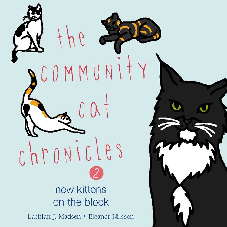 Produktbild: The Community Cat Chronicles Book 2: New kittens on the block