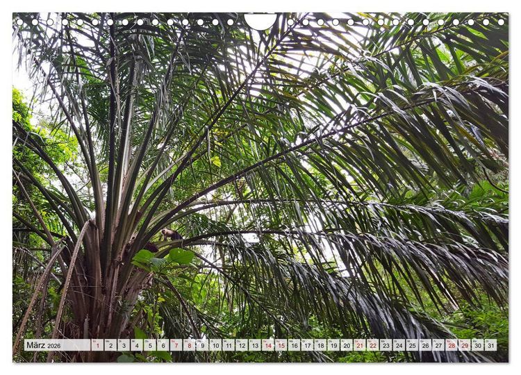 Produktbild: Costa Rica - Lebensfreude pur (Wandkalender 2026 DIN A4 quer), CALVENDO Monatskalender