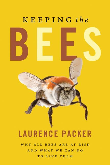 Produktbild: Keeping The Bees