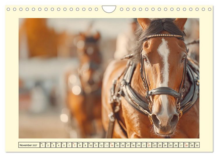 Produktbild: Pferdesport Impressionen. Eleganz, Kraft und Vertrauen (Wandkalender 2027 DIN A4 quer), CALVENDO Monatskalender
