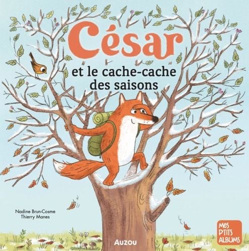 Produktbild: C&eacute;sar et le cache-cache des saisons
