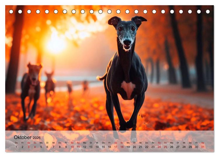 Produktbild: Black is beautiful (Tischkalender 2026 DIN A5 quer), CALVENDO Monatskalender