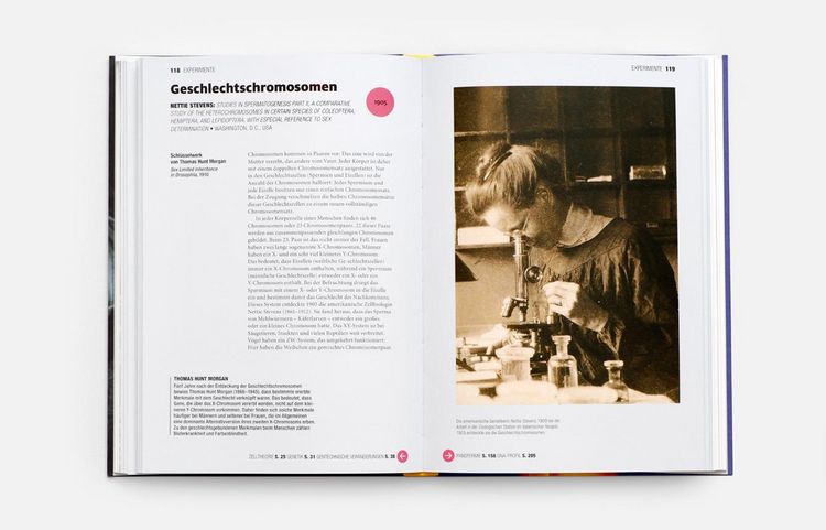 Produktbild: Eine kurze Geschichte der Wissenschaft