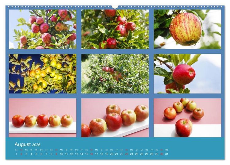 Produktbild: Food (hochwertiger Premium Wandkalender 2026 DIN A2 quer), Kunstdruck in Hochglanz