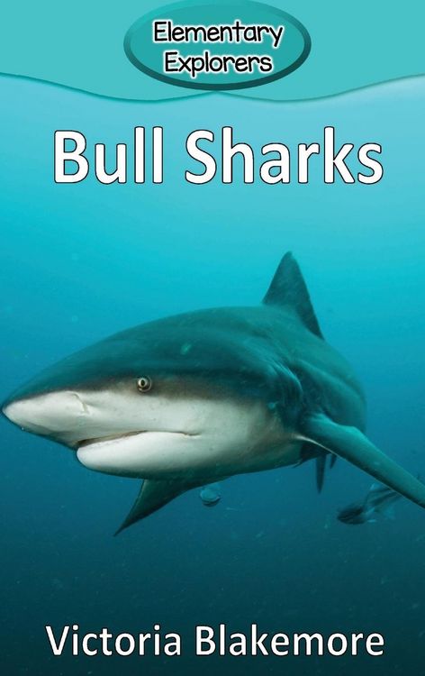 Produktbild: Bull Sharks