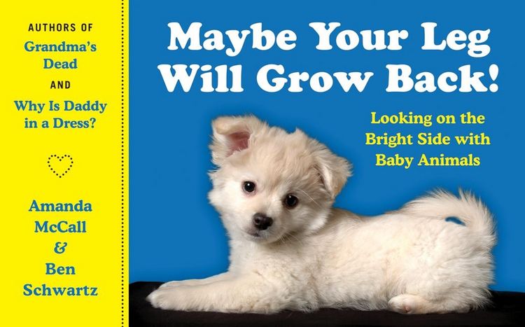 Produktbild: Mccall, A: Maybe Your Leg Will Grow Back!