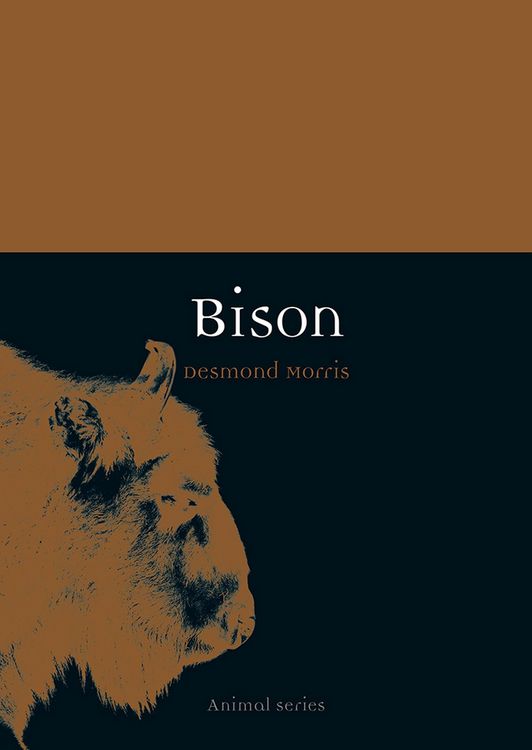 Produktbild: Bison
