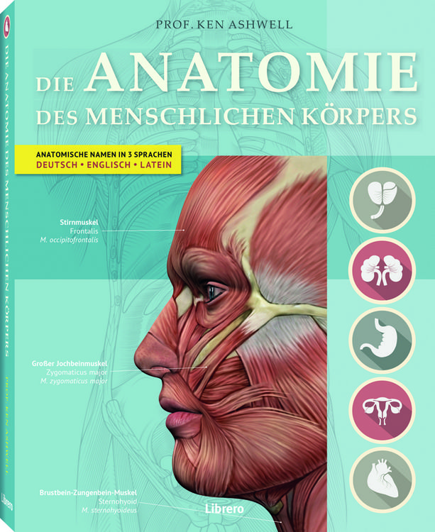 Produktbild: DIE ANATOMIE DES MENSCHLICHEN K&Ouml;RPERS