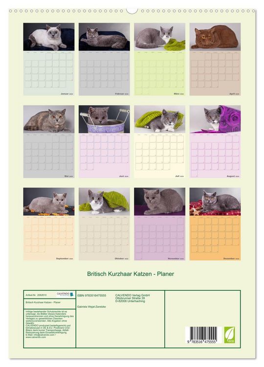 Produktbild: Britisch Kurzhaar Katzen - Planer (hochwertiger Premium Wandkalender 2026 DIN A2 hoch), Kunstdruck in Hochglanz