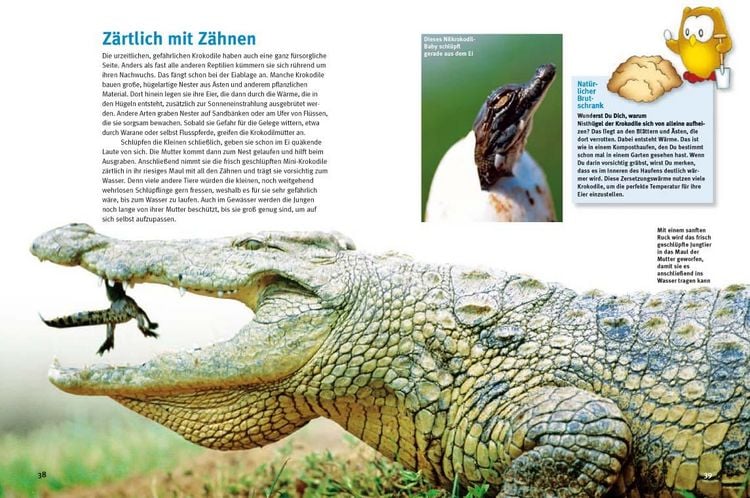 Produktbild: Entdecke die Reptilien