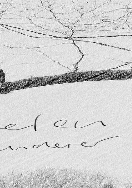 Produktbild: Seelenwanderer