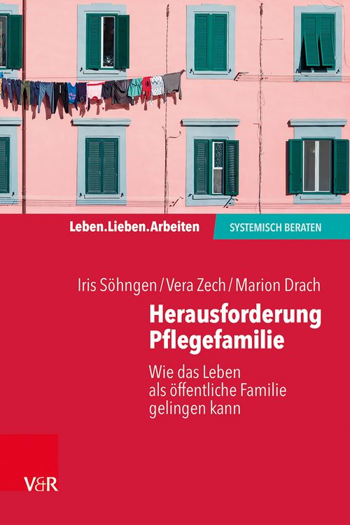 Produktbild: Herausforderung Pflegefamilie