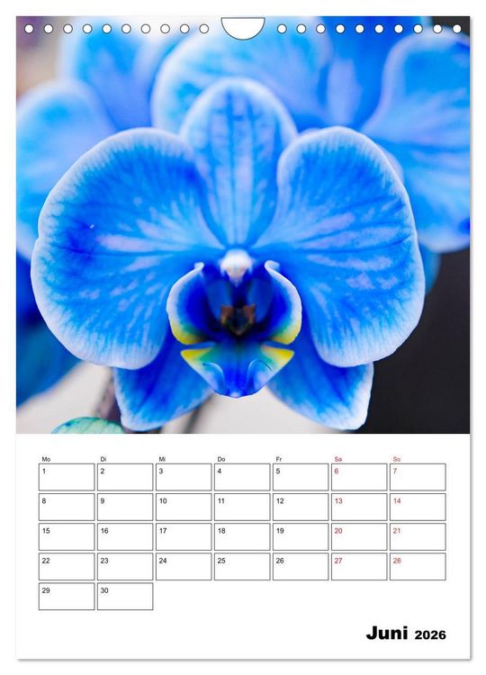 Produktbild: Orchideen - Tropische Sch&ouml;nheiten (Wandkalender 2026 DIN A4 hoch), CALVENDO Monatskalender