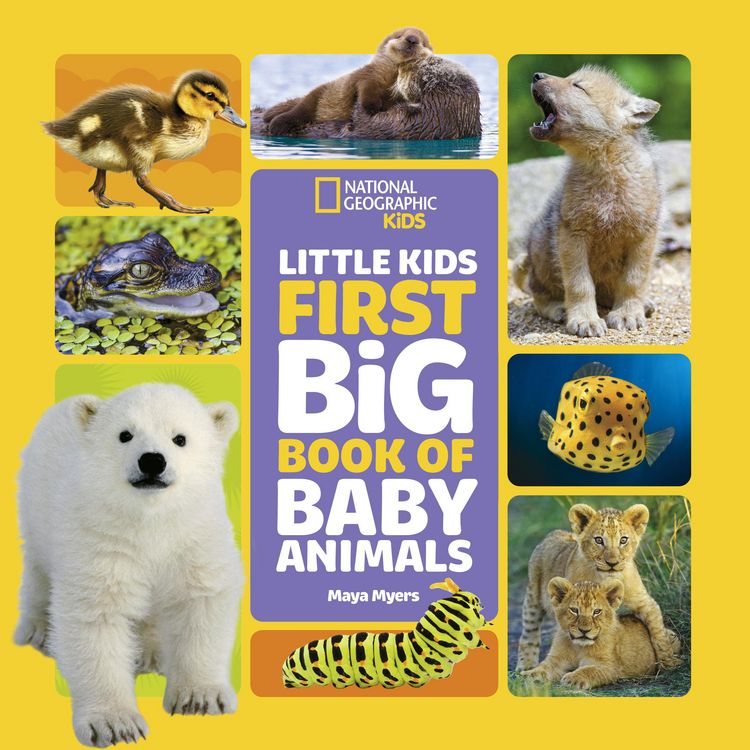 Produktbild: National Geographic Little Kids First Big Book of Baby Animals