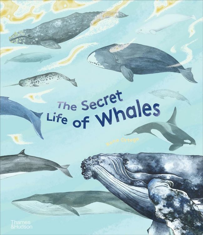 Produktbild: The Secret Life of Whales