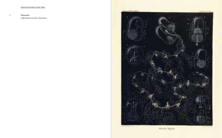 Produktbild: Art Forms from the Abyss