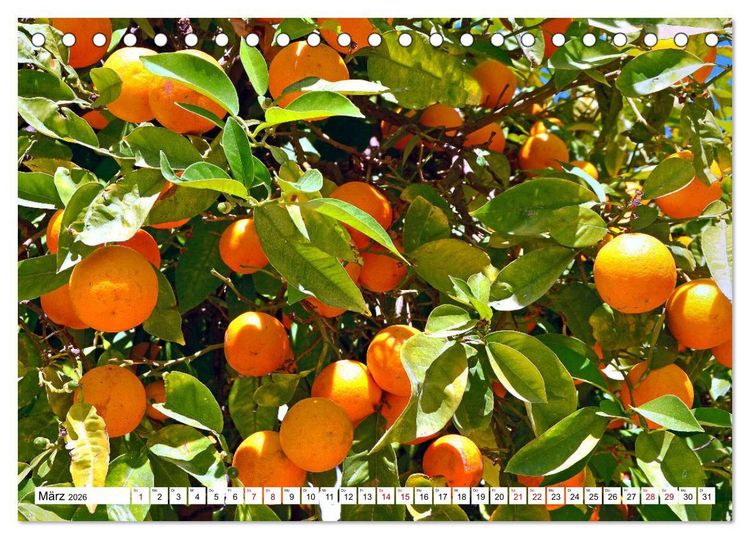 Produktbild: Griechische Insel Kos (Tischkalender 2026 DIN A5 quer), CALVENDO Monatskalender