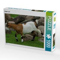 Produktbild: CALVENDO Puzzle Ziegen Lauf 1000 Teile Lege-Gr&ouml;&szlig;e 64 x 48 cm Foto-Puzzle Bild von kattobello