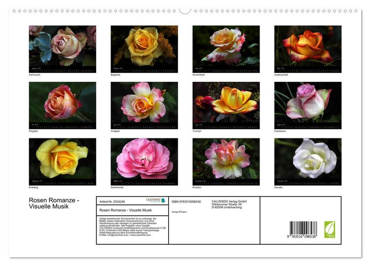 Produktbild: Rosen Romanze - Visuelle Musik (hochwertiger Premium Wandkalender 2026 DIN A2 quer), Kunstdruck in Hochglanz