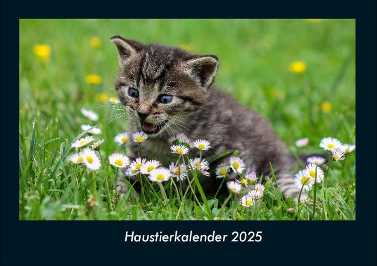 Produktbild: Haustierkalender 2025 Fotokalender DIN A4