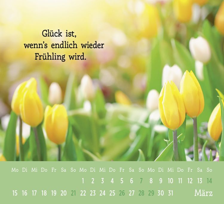 Produktbild: Mini-Kalender 2027: Der kleine Gl&uuml;ckskalender