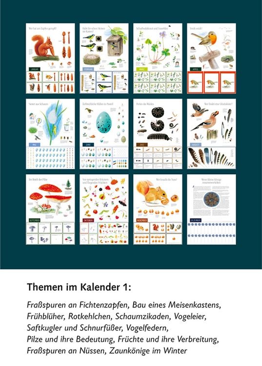 Produktbild: Natur erleben durch das Jahr - 1