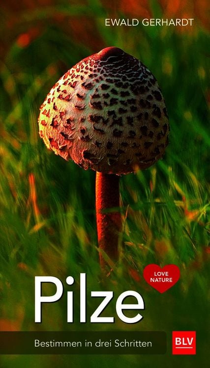 Produktbild: Pilze