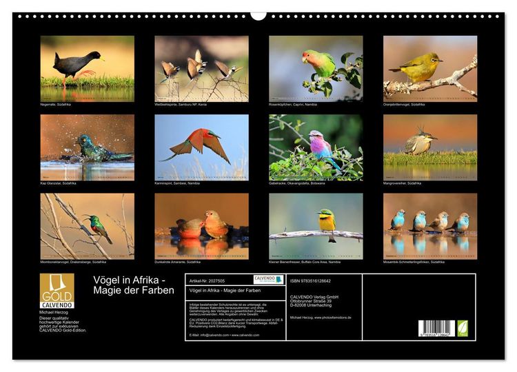 Produktbild: V&ouml;gel in Afrika - Magie der Farben (Wandkalender 2026 DIN A2 quer), CALVENDO Monatskalender