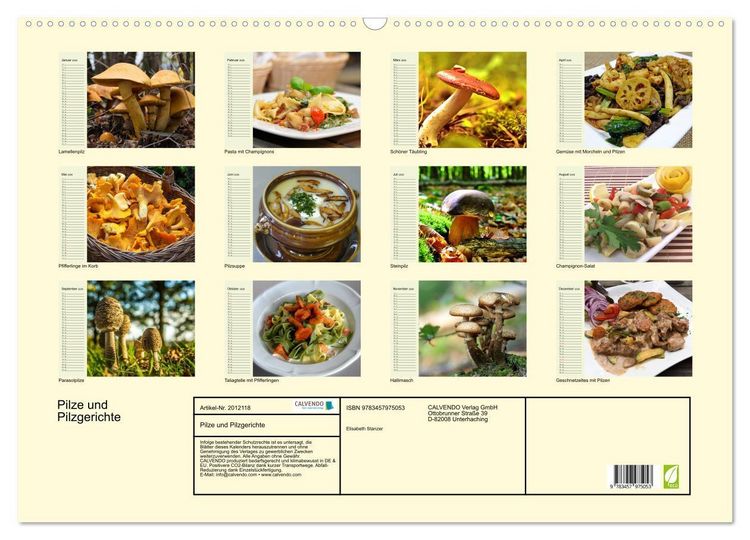 Produktbild: Pilze und Pilzgerichte (Wandkalender 2026 DIN A2 quer), CALVENDO Monatskalender