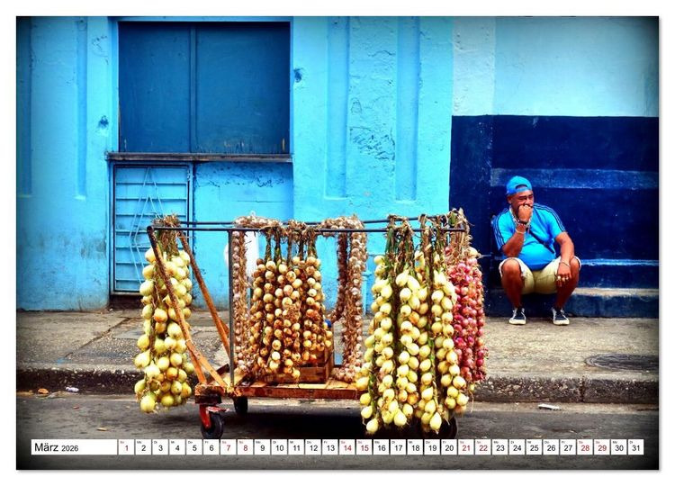 Produktbild: HAVANNA - Beruf Zwiebel-H&auml;ndler (Wandkalender 2026 DIN A4 quer), CALVENDO Monatskalender