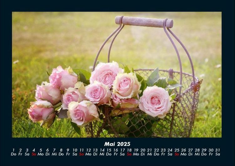 Produktbild: Rosentraum 2025 Fotokalender DIN A4
