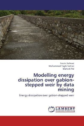 Produktbild: Salmasi, F: Modelling energy dissipation over gabion-stepped