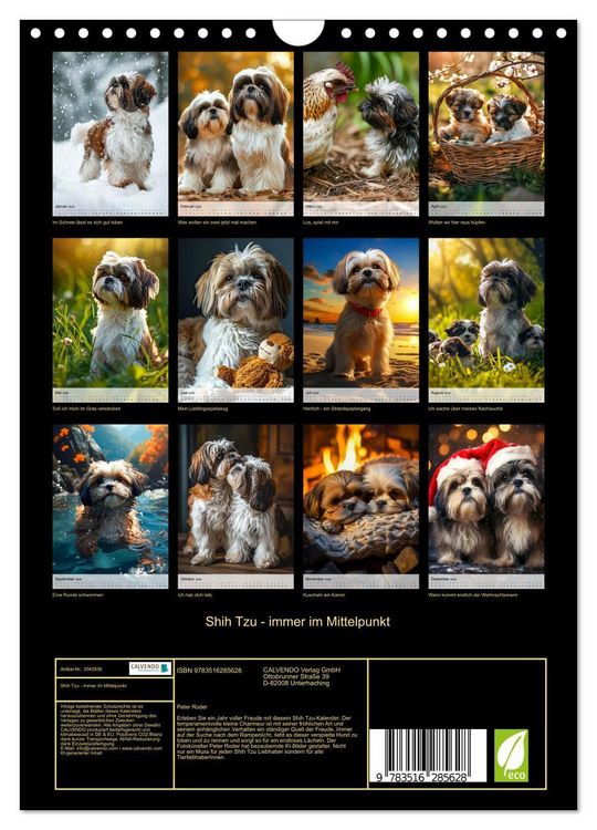 Produktbild: Shih Tzu - immer im Mittelpunkt (Wandkalender 2026 DIN A4 hoch), CALVENDO Monatskalender